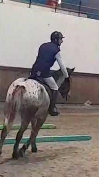 cso a cheval 🐎🐴🐎🐴