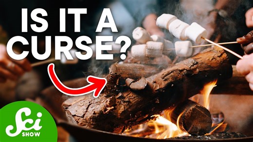 Does smoke truly follow beauty? Science explains