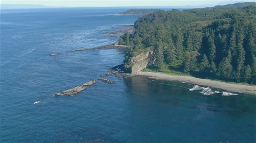 Fishing industry in Washington likely to suffer from Trump's tariff battle with China