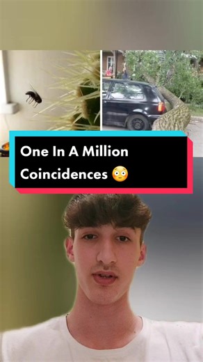 CE on TikTok