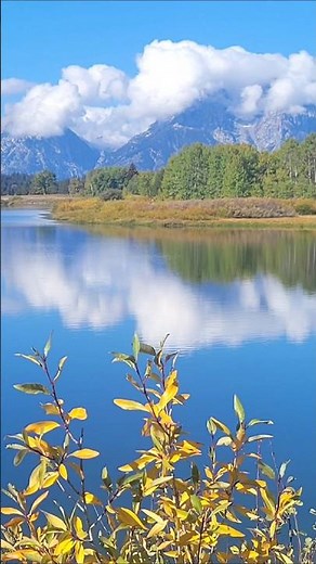YELLOWSTONE, GRAND TETON O GLACIER - Rocosas (USA) #dameunasenda #shorts #viralshorts #shortvideo