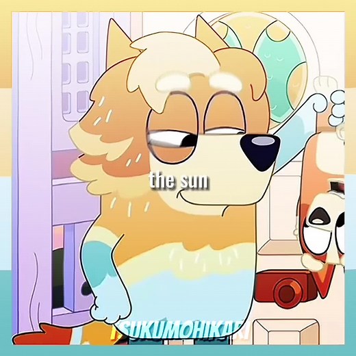 Socks stan ‼️ on TikTok