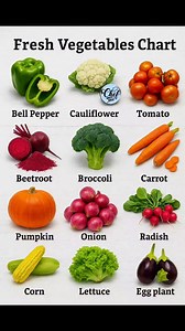 Fresh Vegetables Chart | Chef Jahed