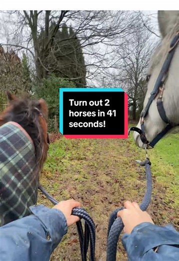 Turning Out Horses in 41 Seconds: Equestrian Fun
