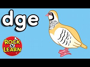 DGE Ending Sound Song - Phonics for Kids - Rock 'N Learn - Videos For Kids