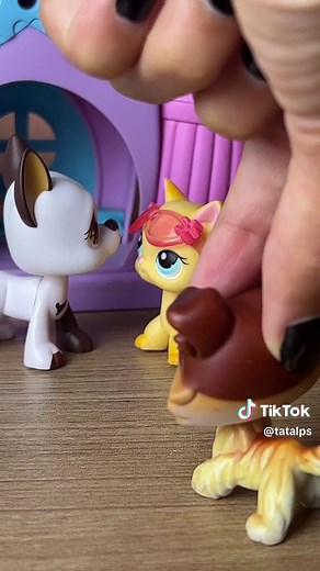 A Vida da Gata Popular: Dramas da Escola