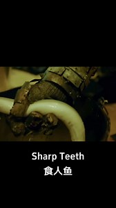 1.7M views · 9.3K reactions | Devil! #食人鱼 #sharpteeth #优酷电影 #youkumovie | Youku Movie | Facebook