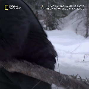 589 reactions · 15 shares | Acești oameni au ales Alaska sălbatică în detrimentul vieții în mijlocul orașului și nu regretă acest lucru nici atunci când trebuie să înfrunte iernile aspre. Nu rata premiera noului sezon din „Alaska: noua generație”, miercuri, la 22:00, doar la National Geographic. | National Geographic | Facebook