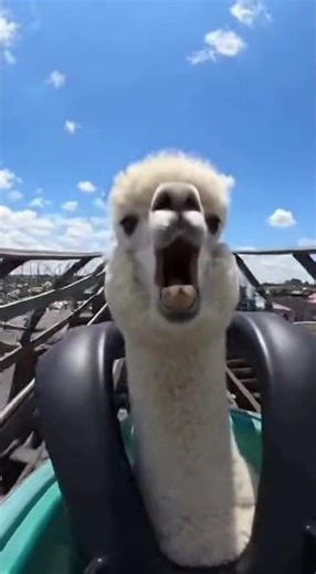 Mr. Computerslop: Hilarious Tech Fails You WON'T Believe!