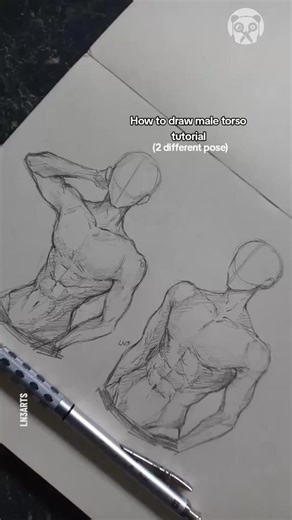 How to draw male torso | Hungry Panda