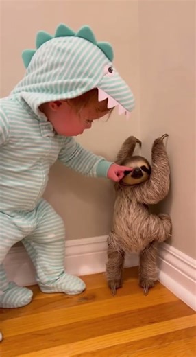 Baby Scolds Sloth 😍 Funny Cute Scene