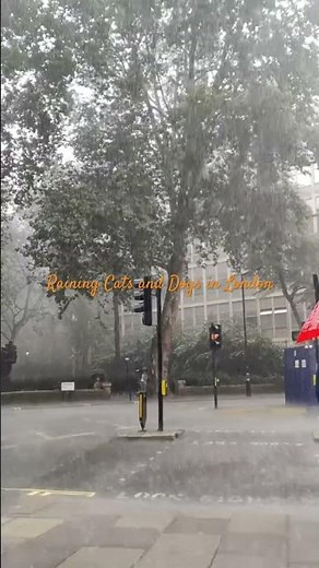 Walking in London's Heaviest Downpour Yet 🌧️👀 #LondonRain #POV