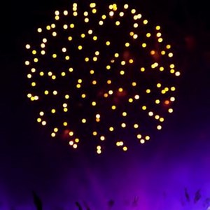 1.3K views · 61 reactions | Happy New Year! | Jamaica Cottage Shop | Facebook