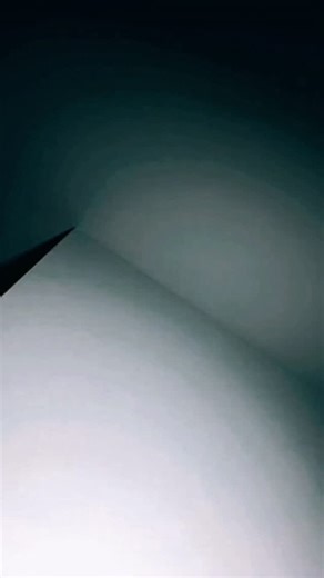 I’m your biggest fan | Petty Picasso