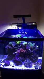 RGB ADA Solar Dimmable Led Aquarium Light for Freshwater Aquatic Aquarium Fish tank Led Lights