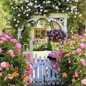 7.3M views · 18K reactions | Please write a few words if you like this video..thank you. | I miei desideri | Facebook