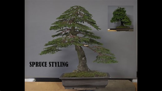 Spruce Styling