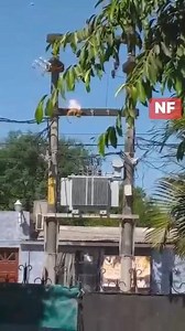Un mono provocó explosiones, cortocircuito y corte de energía eléctrica en el barrio 12 de Octubre. Estuvieron una hora sin servicio. | Noticias Formosa