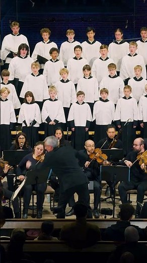 You Think Classical Music Is Relaxing? Think Again. ❤️🎵 #mozart #requiem #classicalmusic