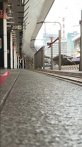 東京#21 東北101-1番 0.6C