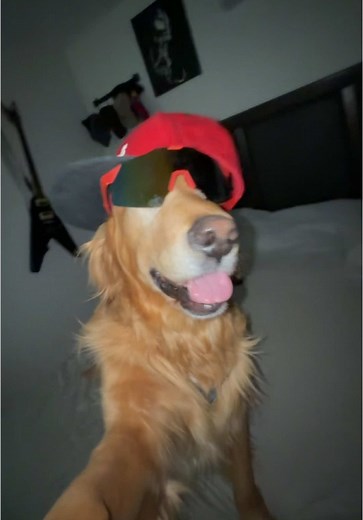 Comedia del Guerito Privilegiado con Chava Frayre