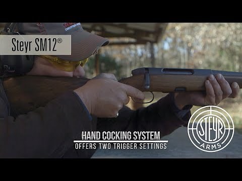 Steyr Arms SM 12