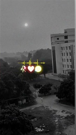 SNS polytechnic college motihari 😭❣️