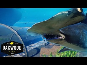 Working SHARK TUNNEL In Planet Zoo! 🦈 | Planet Zoo Mod Zoo Speedbuild