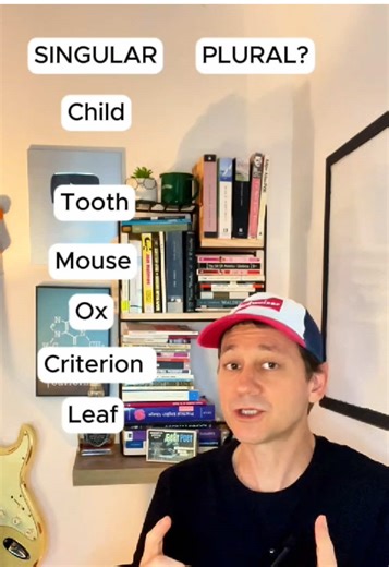 Mastering English Plurals: A Comprehensive Guide