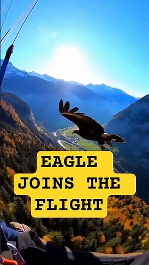 Paraglider’s peaceful flight turns Wild when an Eagle appears!#orbelyn