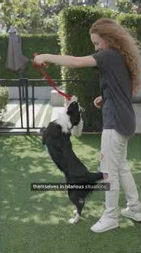 New Owner Fails Compilation 😂🐕