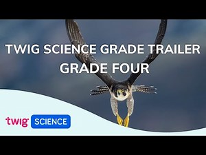Grade Trailer: Grade Four | Twig Science