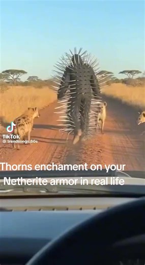 Minecraft irl #minecraft #enchantment #thorns #irl