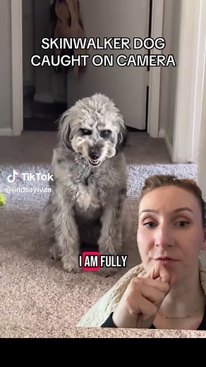Skinwalker Dog Caught on Camera: True Scary Encounter