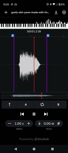 #memes #audiostretch #funny goofy ahh rawr audiostretch