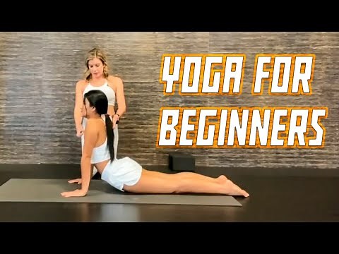 How to Do an Upward Facing Dog - Yoga Day