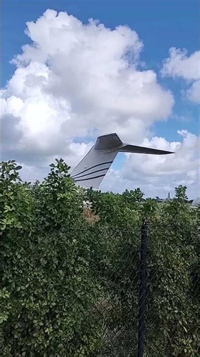 Navy F/A 18 Super Hornet Fast Pass