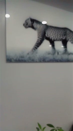 aquí en Bellflower.