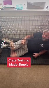 64K views · 744 reactions | Crate training made simple! | Southend Dog Training | Facebook