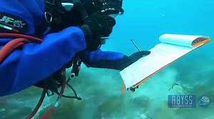 🌊 Unlock a diving career with AHCLPW307! Did you know that our Scientific Diver course can jumpstart your journey into commercial diving? Dive into the details and explore new depths: [link] #CommercialDiving #CareerOpportunity https://www.abyss.com.au/en/blog/viewpost/528/unlock-a-diving-career-with-ahclpw307-your-gateway-to-commercial-diving | Abyss Scuba Diving