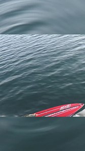 38' Donzi! 🔥 Credit: @flpowerboat follow @daily_dose_of_powerboats #nortech #nor-tech #outerlimits #outerlimitsoffshorepowerboats #outerlimitspowerboats #boat #boating #powerboat #racing #powerboats #performaceboats #offshorepowerboat #offshoreracing #powerboat #raceboat #cigaretteboat #skaterpowerboats #mysticpowerboats #fountainpowerboats #mercuryracing #bigblock #needforspeed #classicboat #donzi #donzipowerboats #vbottom #donziclassic #dailydoseofpowerboats | Daily Dose Of Powerboats