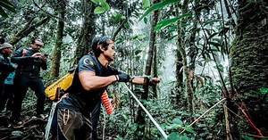 Hiking activities in Pahang forest reserves allowed again | New Straits Times
