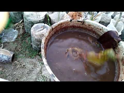 how to make a organic potash, organic fertilizer made,all gardening information,