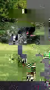 Anyone else have a pool day yesterday? Sydney the cassowary decided to take a little dip in her pond and some of our campers caught it on video! We often get questions about the duckweed on the pond. Duckweed are small aquatic plants that only grow in slow-moving, sheltered, healthy waterways. It often looks like a blanket that covers the water. Duckweed is a food source for different animals and is known to prevent algae from growing. #ImagineThat | Blank Park Zoo