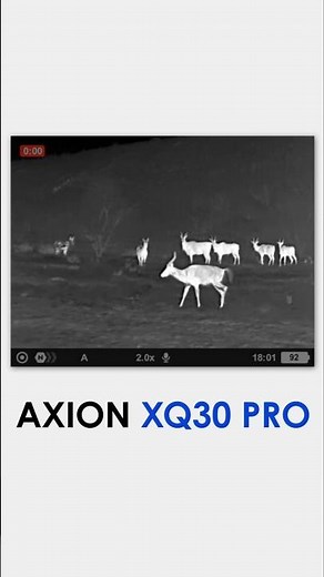 Nyala bull, a herd of giraffes, and elands captured with our Axion XQ30 Pro monocular. #pulsarvision