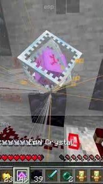 dm tiktok @lewlewis for client #donutsmp #minecraft #unitedstates