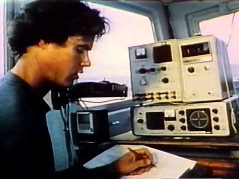 National Geographic - The Great Whales