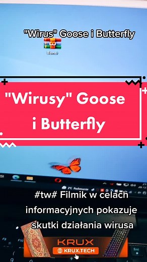Wirusik goose i butterfly #wiruskomputerowy #komputer #trojan #arentek #goose