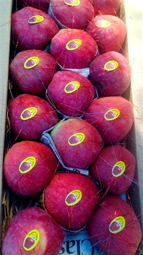 Apple packing 📦👌ytshorts #shorts #ytshorts #apple