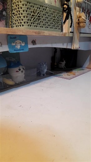 Exciting Trinkets Unboxing from Shoppe